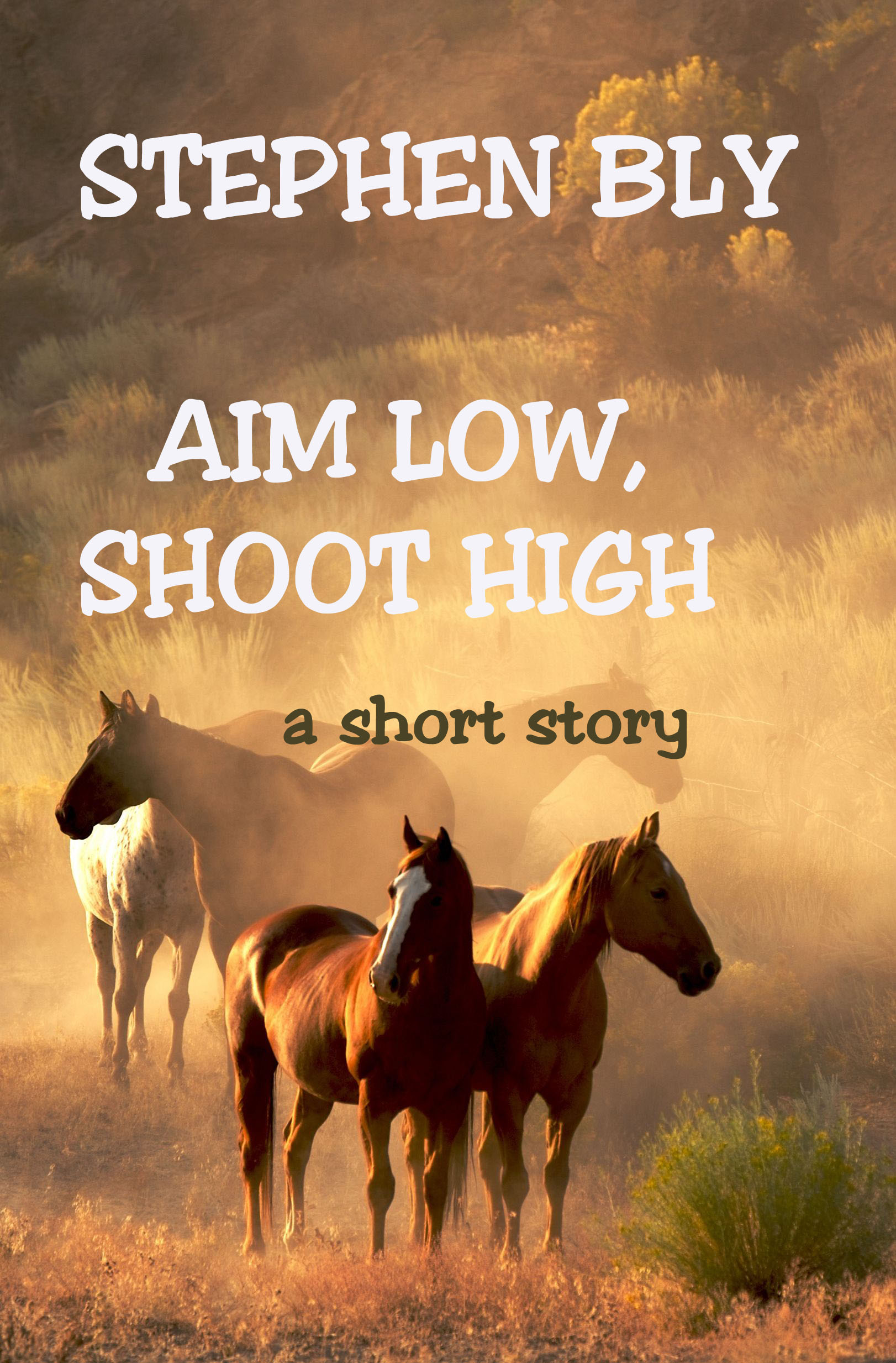 Western Short Story: Aim High, Shoot Low – digital edition