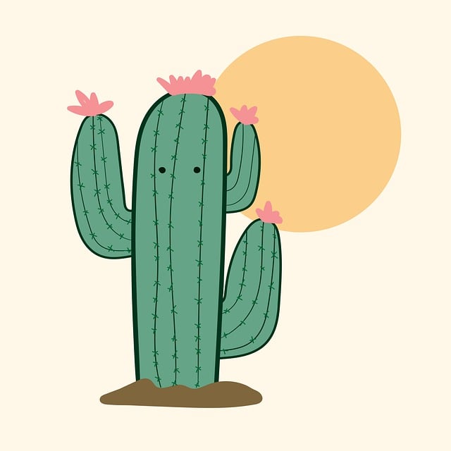 Cactus, Desert Plant, Western, Cowboy