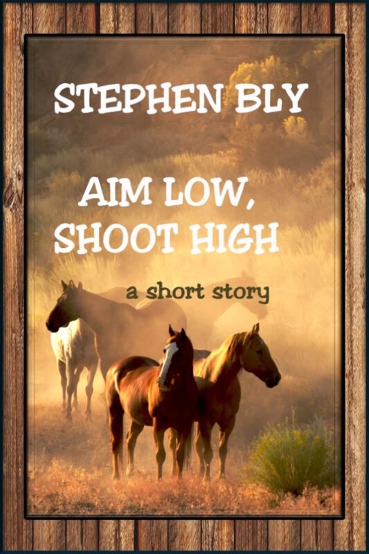 Western Short Story: Aim High, Shoot Low – digital edition