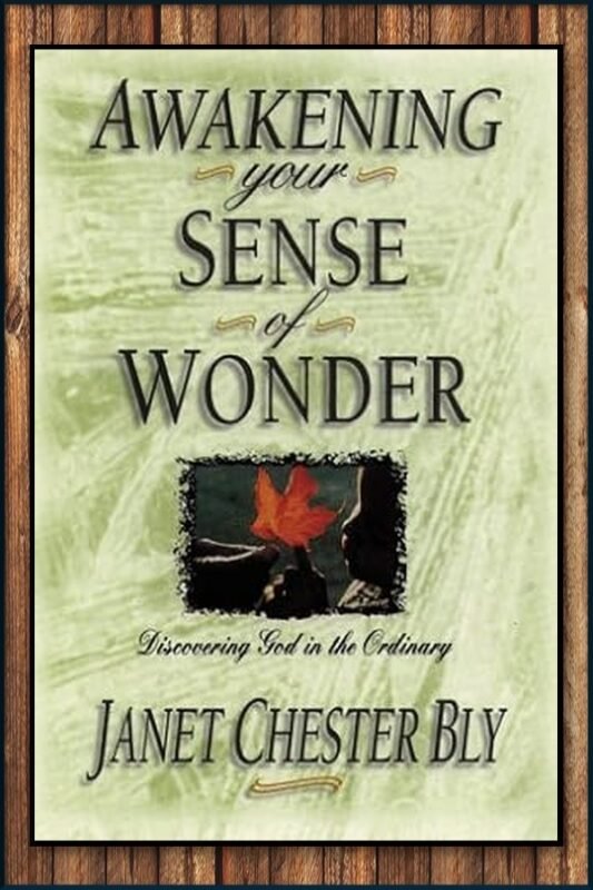 Awakening Your Sense of Wonder – helps for moms