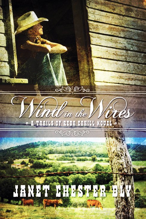 Wind in the Wires, Inspirational Books Novel by Janet Chester Bly